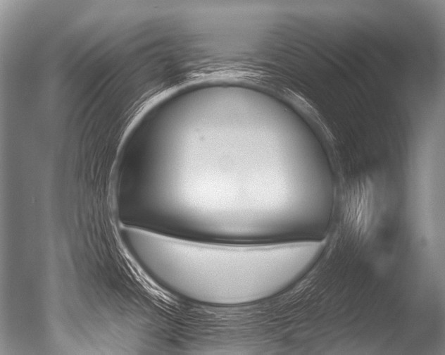 X0000051251436200506170830