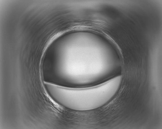 X0000051251437200506170830