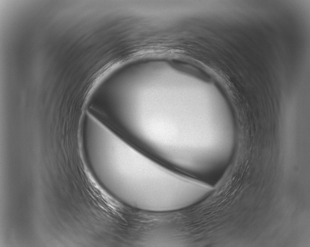 X0000051251440200506170830