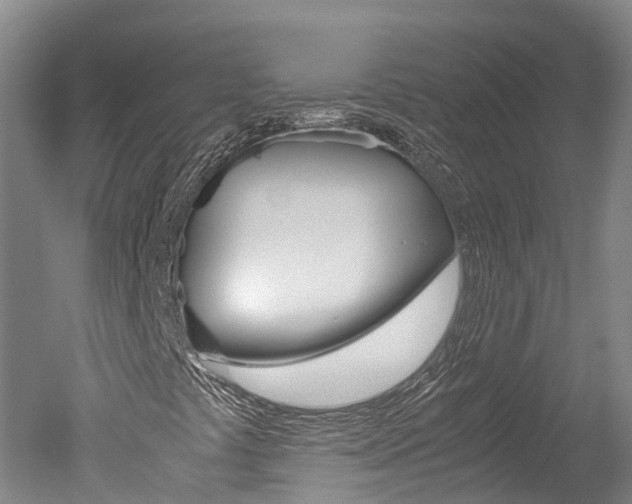 X0000051251441200506170829