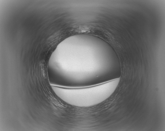 X0000051251442200506170829