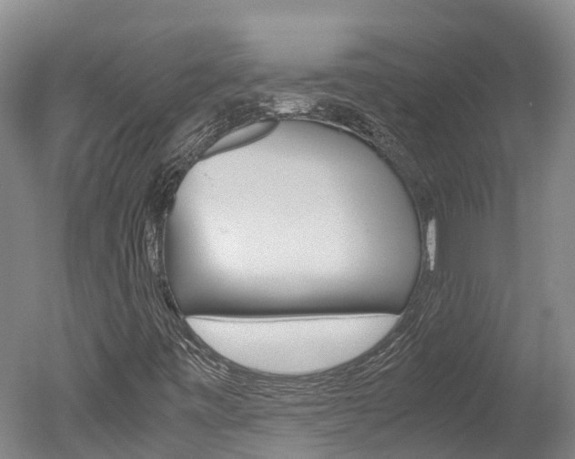 X0000051251443200506170829