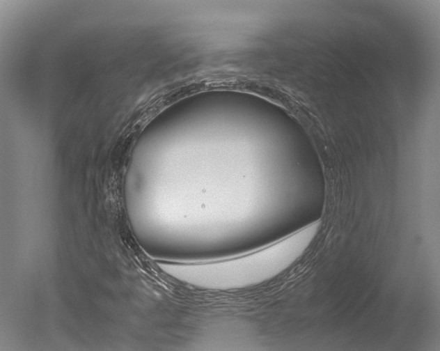 X0000051251445200506170829