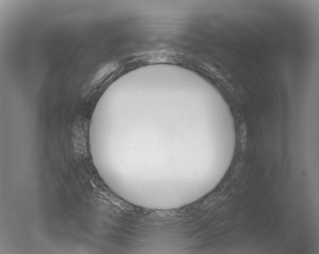 X0000051251446200506170829