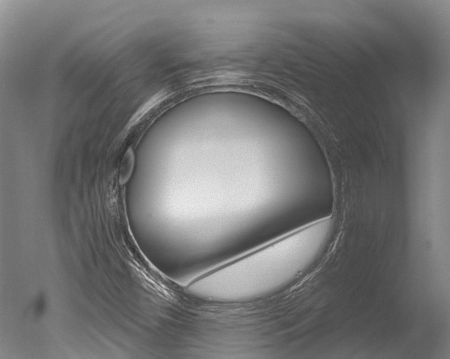 X0000051251450200506170829