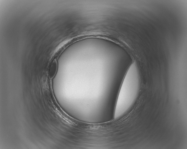X0000051251452200506170829
