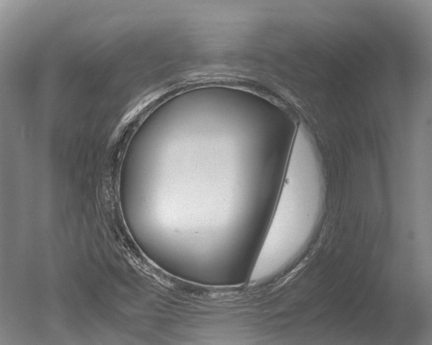 X0000051251453200506170829