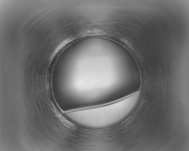 X0000051251458200506170829