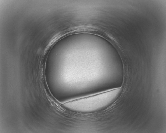X0000051251459200506170829