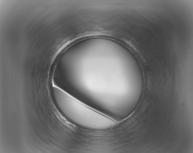 X0000051251460200506170829