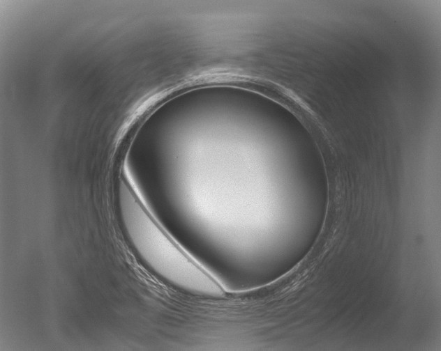 X0000051251461200506170829