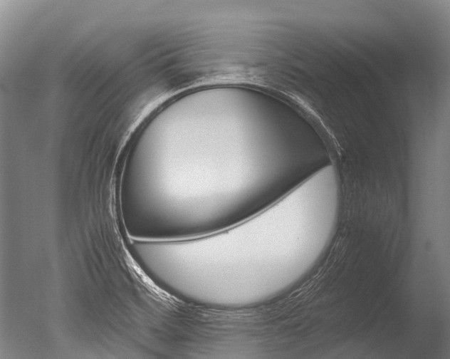 X0000051251468200506170829