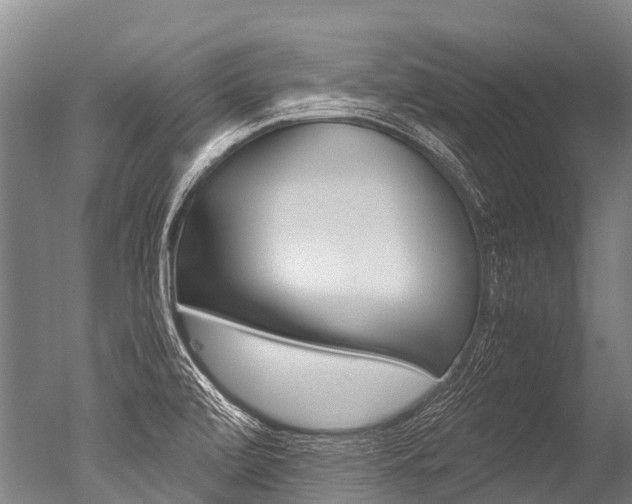 X0000051251472200506170829