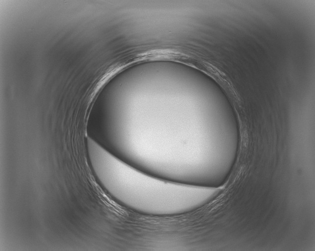 X0000051251473200506170829