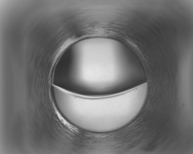 X0000051251479200506170829
