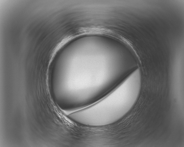 X0000051251480200506170829
