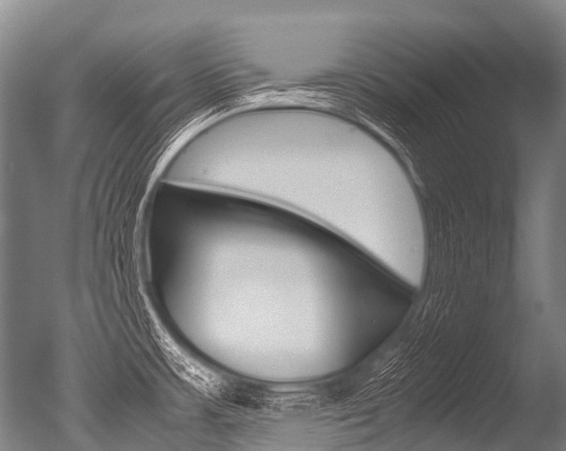 X0000051251483200506170829