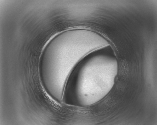 X0000051251484200506170829
