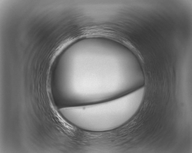 X0000051251485200506170829