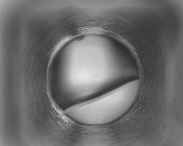 X0000051251488200506170829