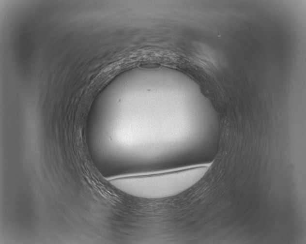 X0000051251489200506170828