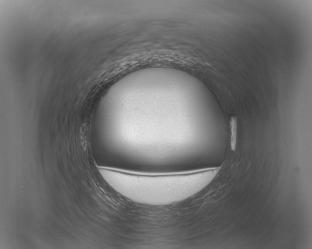 X0000051251491200506170828