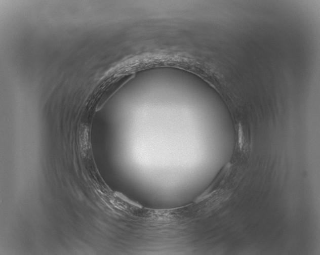 X0000051251492200506170828
