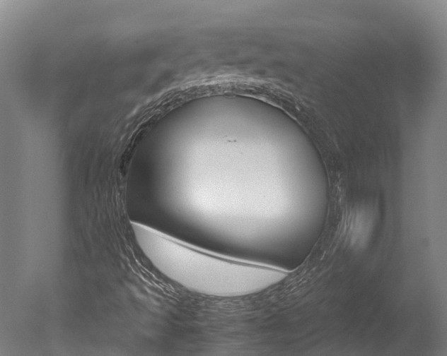 X0000051251493200506170828