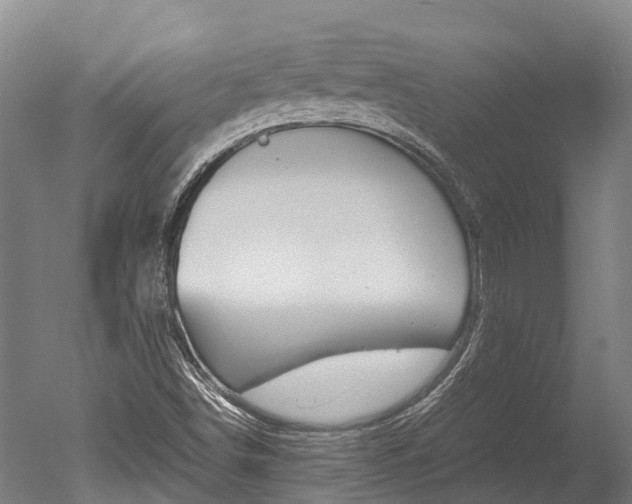 X0000051251498200506170828