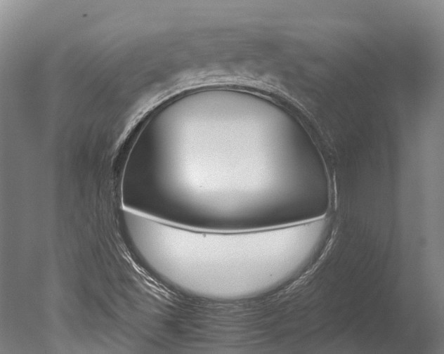 X0000051251501200506170828