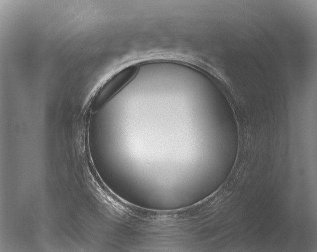 X0000051251504200506170828