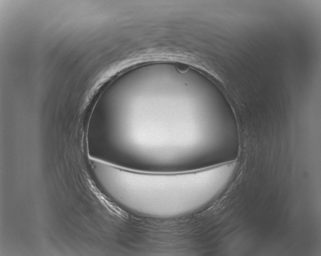 X0000051251507200506170828