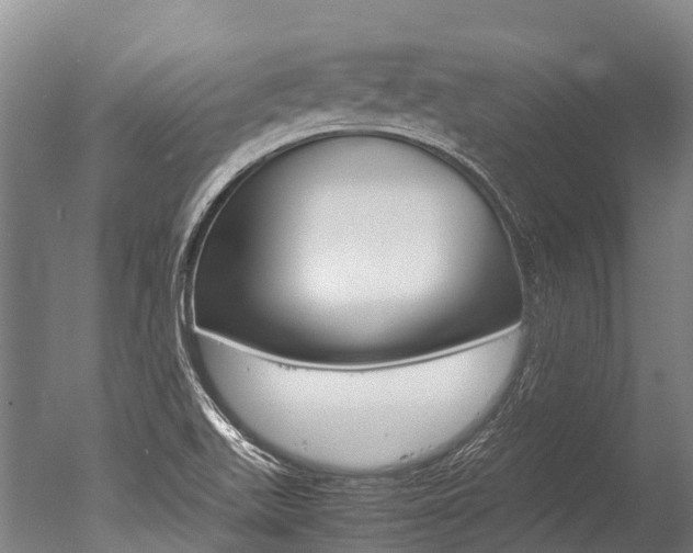 X0000051251511200506170828