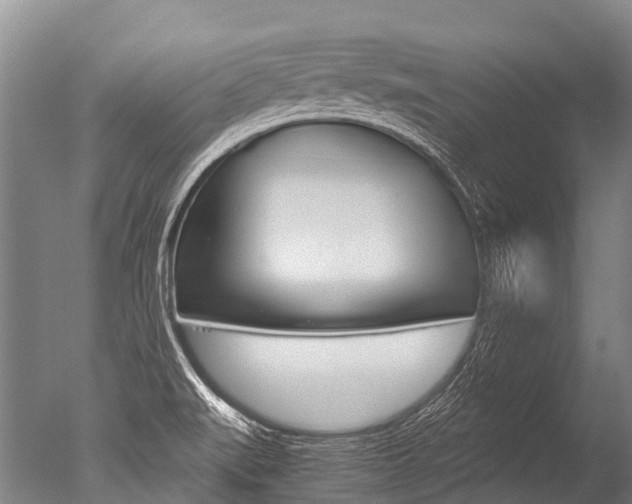 X0000051251519200506170828