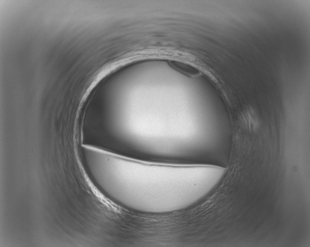 X0000051251523200506170828
