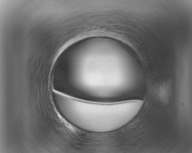 X0000051251527200506170828