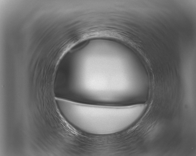 X0000051251529200506170828