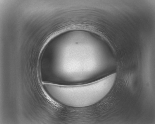 X0000051251531200506170829