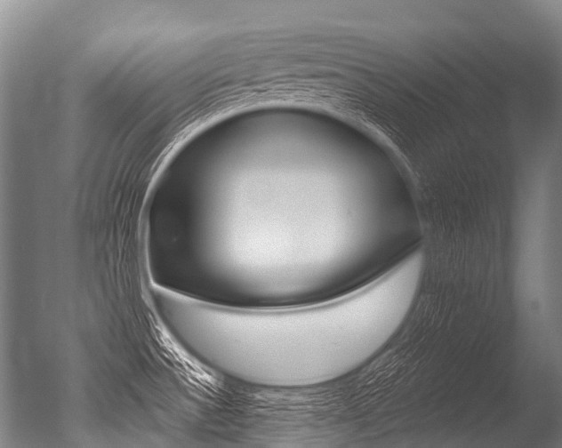 X0000051251532200506170829
