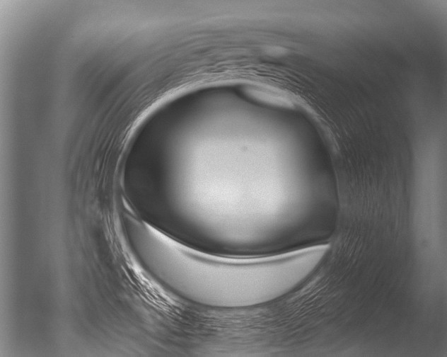 X0000051251534200506170829