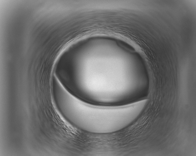 X0000051251536200506170829
