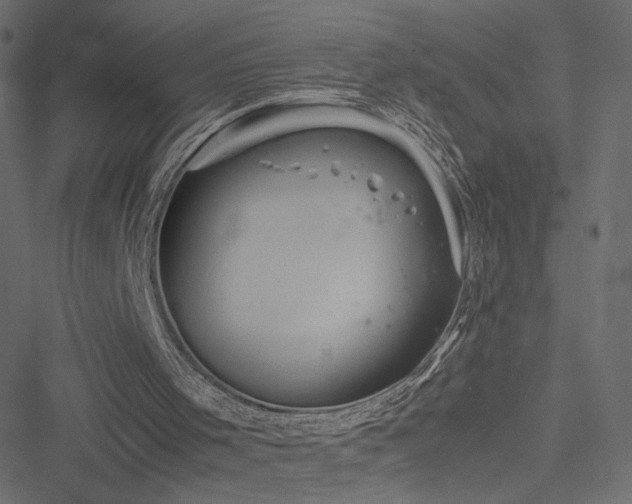 X0000051250001200506171147