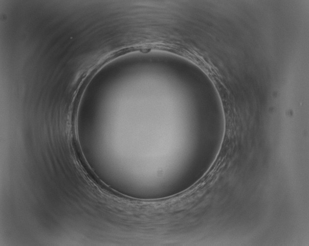 X0000051250002200506171147