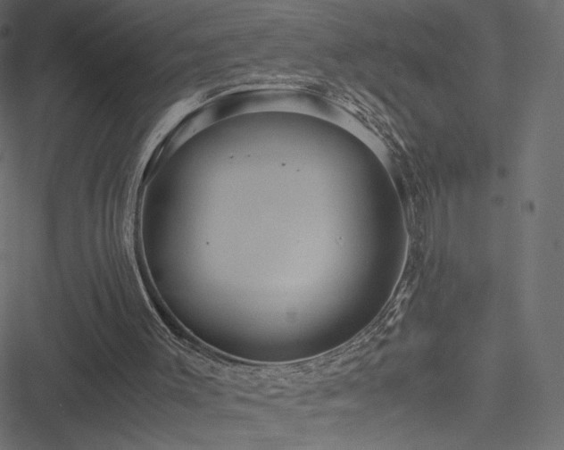 X0000051250003200506171147