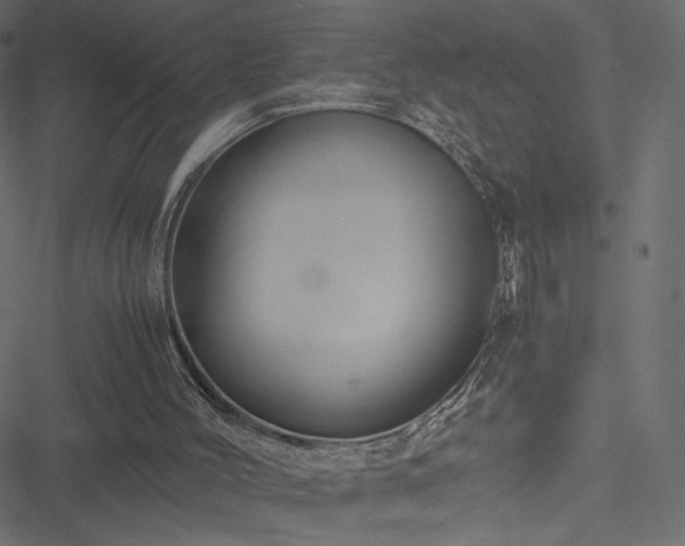 X0000051250004200506171147