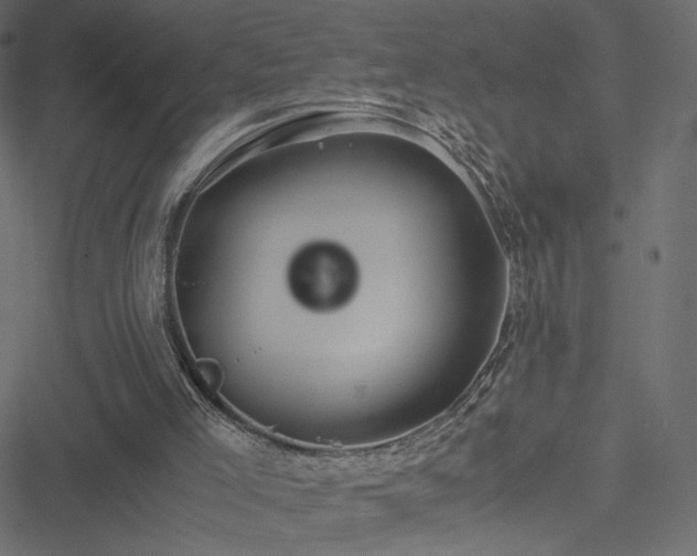 X0000051250005200506171147