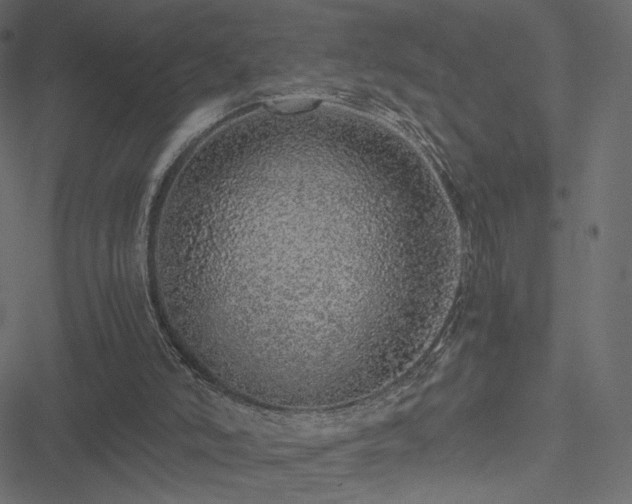 X0000051250006200506171147