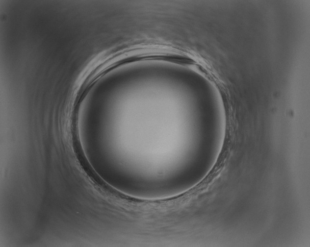 X0000051250007200506171147