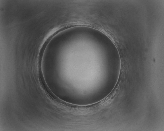 X0000051250008200506171147