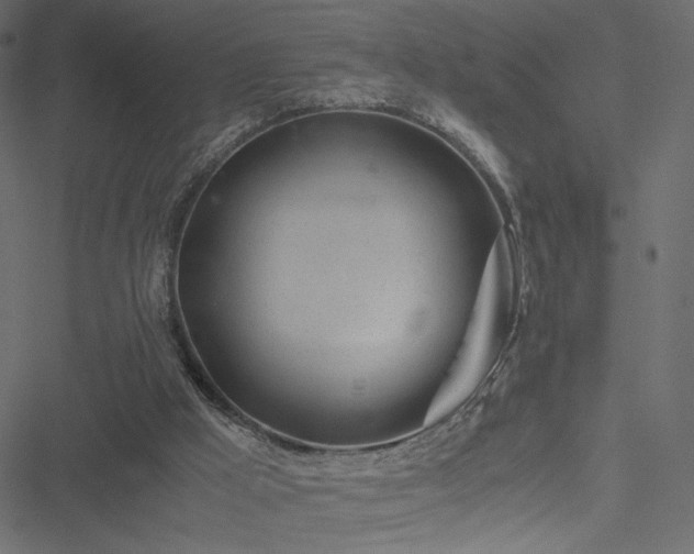 X0000051250009200506171147